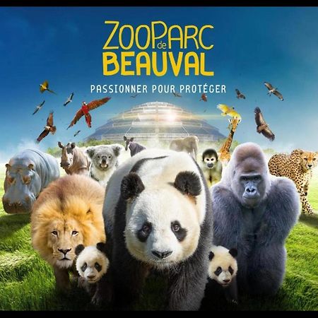 Gite Souai Et Zen , 5 Mn Du Zooparc De Beauval サン・テニャン エクステリア 写真